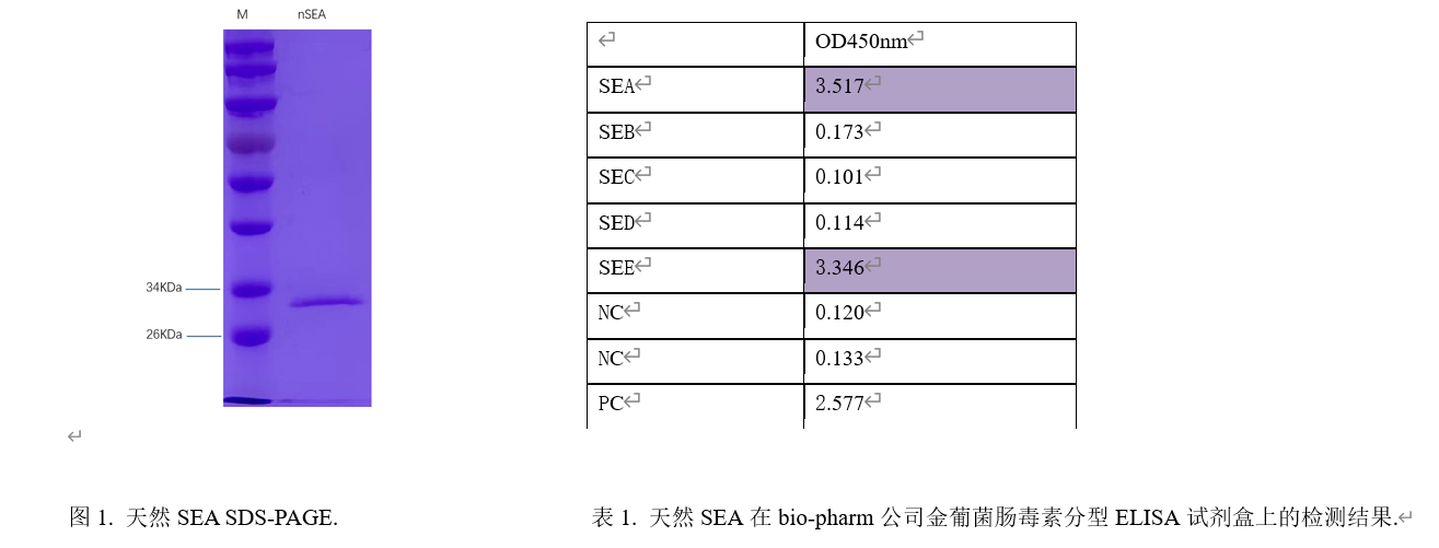 金葡菌肠毒素SEA.png