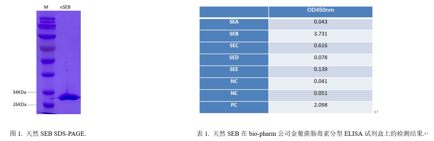 金葡菌肠毒素SEB.png