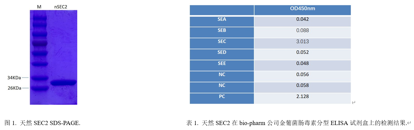 金葡菌肠毒素SEC2.png