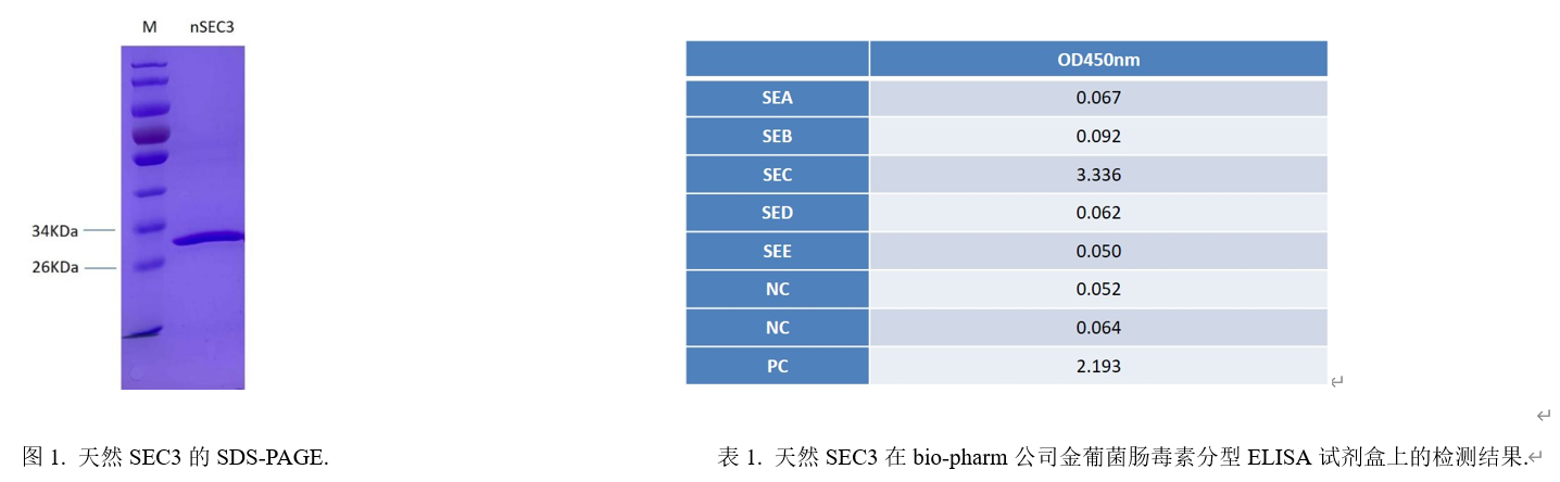金葡菌肠毒素SEC3.png