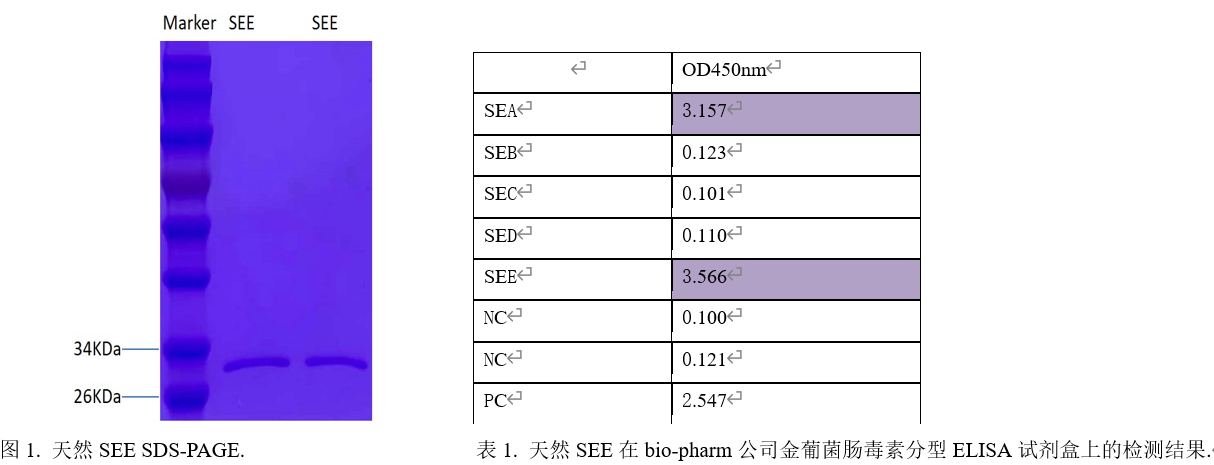 金葡菌肠毒素SEE.png