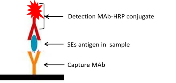 1762916291644270.png image.png