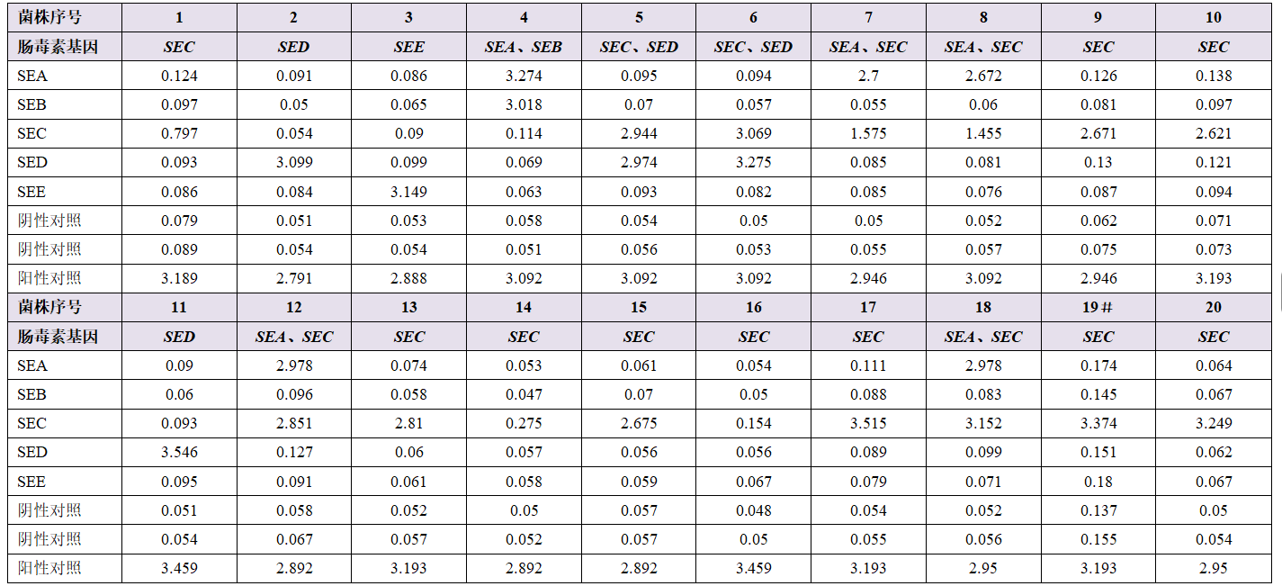 1762917109681019.png 2.png